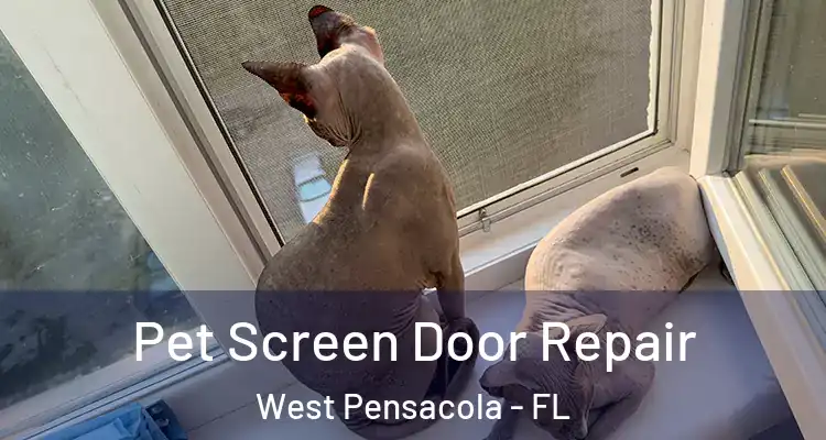 Pet Screen Door Repair West Pensacola - FL