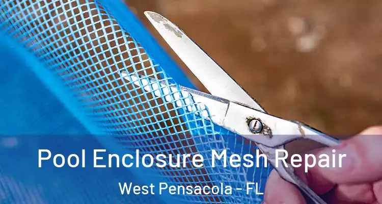 Pool Enclosure Mesh Repair West Pensacola - FL